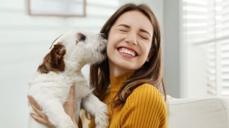 Waduh! Studi Sebut Anak Milenial Lebih Sayang Anjing Peliharaan Dibanding Ibunya Sendiri! : Okezone Lifestyle - JollyNews